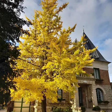 Les Iris Saint-Felix (Oise)