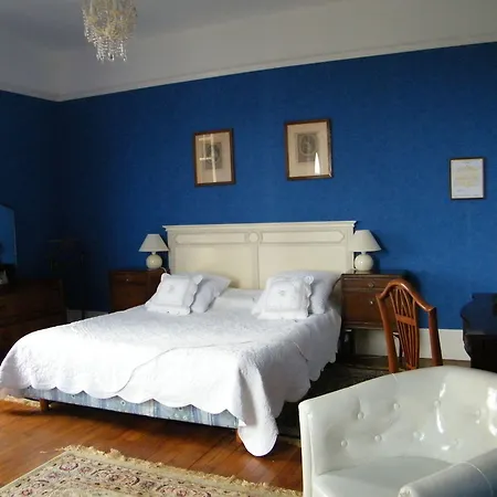 Les Iris Saint-Félix