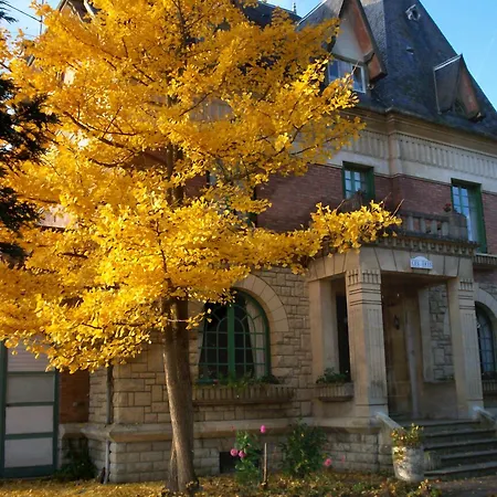 Les Iris Saint-Felix (Oise)