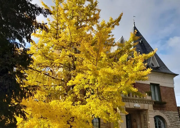 Les Iris Saint-Félix