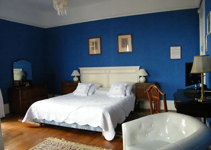 Les Iris Saint-Félix