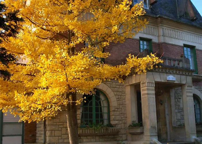 Les Iris Saint-Félix