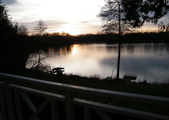 Les Iris Saint-Félix